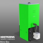Mini Bio